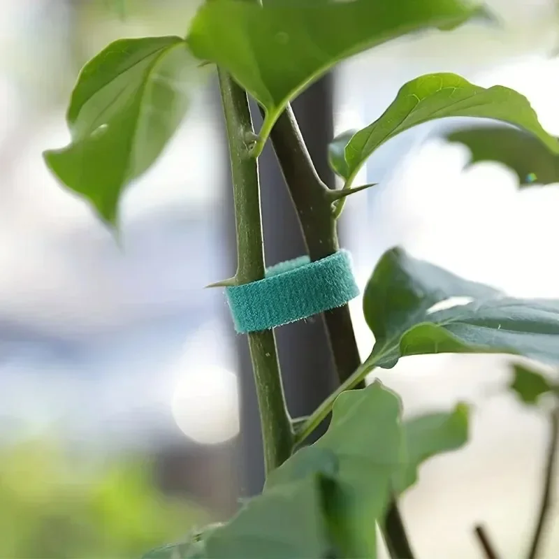 Self Adhesive Plant Nylon Cabl - Gear Tie Reusable 评论和价格