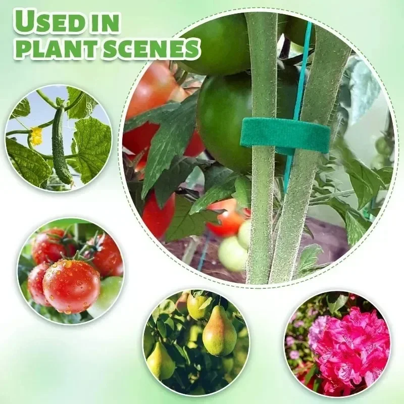Self Adhesive Plant Nylon Cabl - Gear Tie Reusable 评论和价格