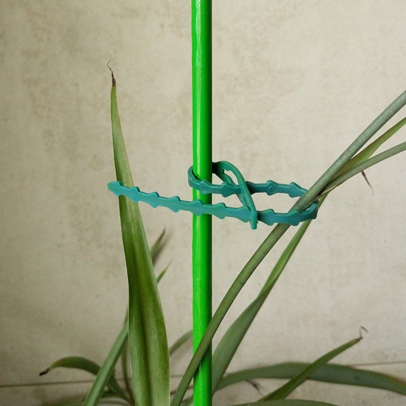 50/100Pcs Reusable Garden Cabl - Gear Tie Reusable 评论和价格
