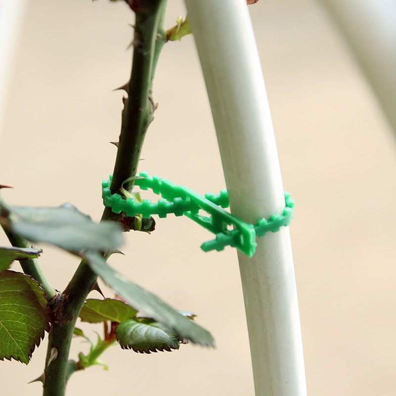 50/100Pcs Reusable Garden Cabl - Gear Tie Reusable 评论和价格